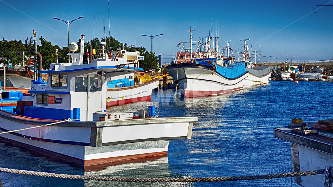 어선,항구,위미항,선박,교통,port,포트,바다,배,보트,boat,어업,fishery,fishing industry