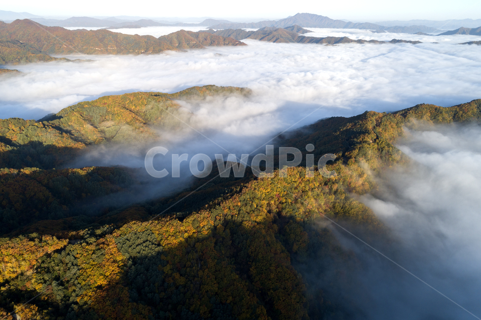 산,운해,단풍,풍경,항공촬영,구름,가을,가을,계절,fall,autumn,season,자연,풍경,nature,landscape,한국자연풍경,한국자연경관,korea nature landscape,outdoors,옥외,weather,날씨
