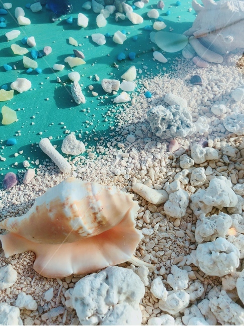 하늘색,바다,소라,해변,sea,beach,conch,조개,clam,skyblue,clear,cool,자갈,pebble,blue,sand,모래,해변,바다,beach,sea
