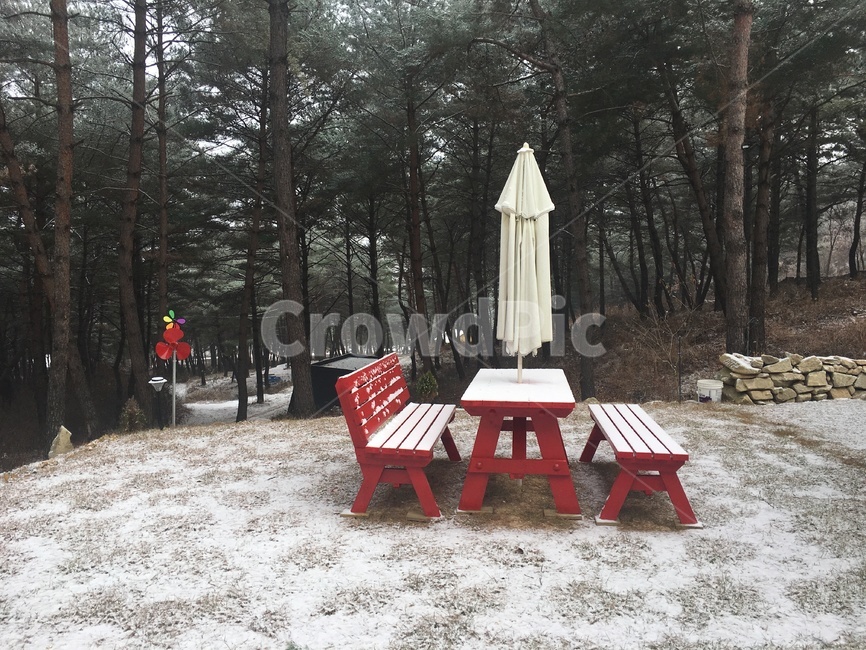 귀촌,휴식,숲,빨강,야외테이블