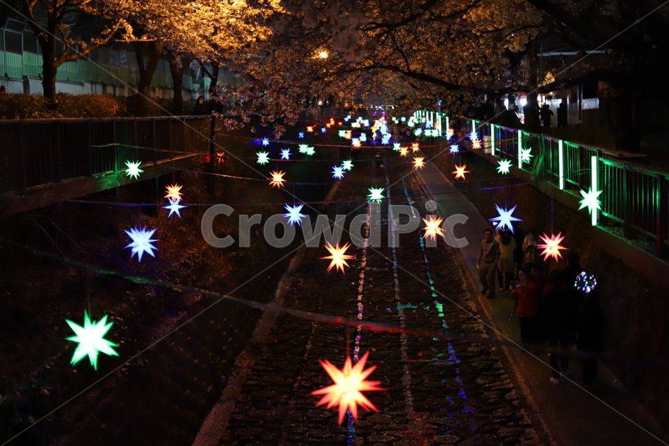 진해,군항제,벚꽃,야간,여좌천,로망스다리,야경,밤,풍경,nightscape,night,landscape,축제,행사,festival,carnival,event