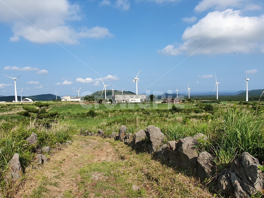 제주도,여름제주도,자연경관,제주도경관,제주여름휴가,자연,풍경,nature,landscape,에너지산업,energy industry,machine,기계,motor,모터,engine,엔진