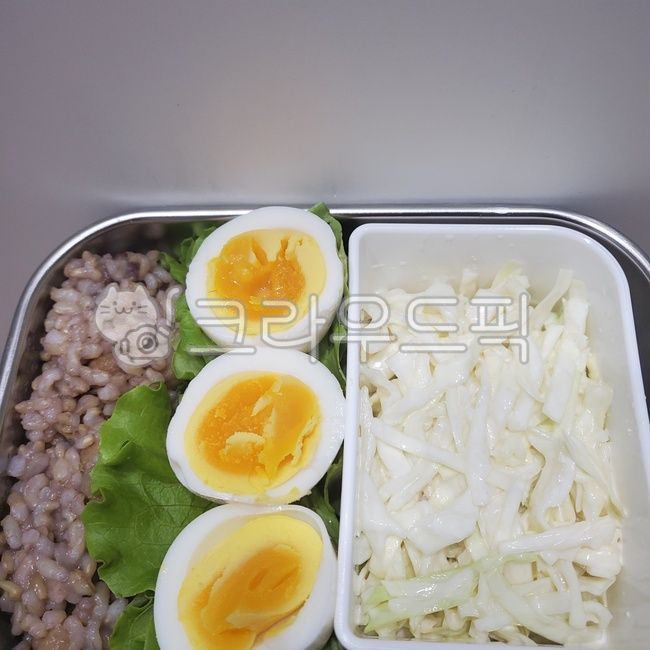 egg,계란,food,음식,plant,식물,다이어트도시락,도시락,직장인도시락,삶은계란,양배추샐러드,양배추
