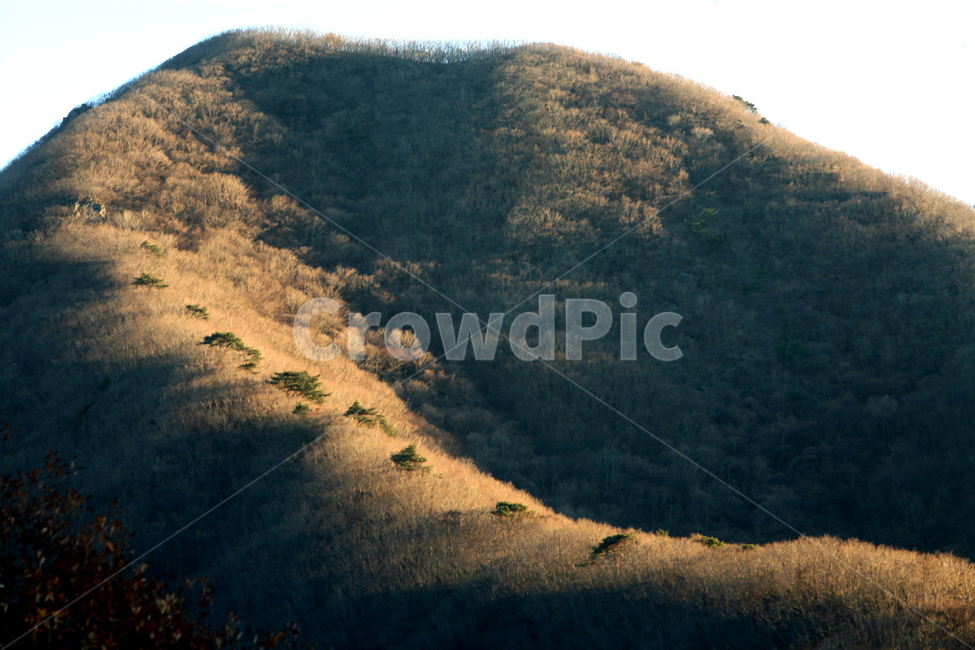 자연,nature,산,계곡,나무,자연,풍경,nature,landscape,outdoors,옥외