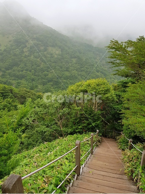 계단,길,한라산,절경,하산