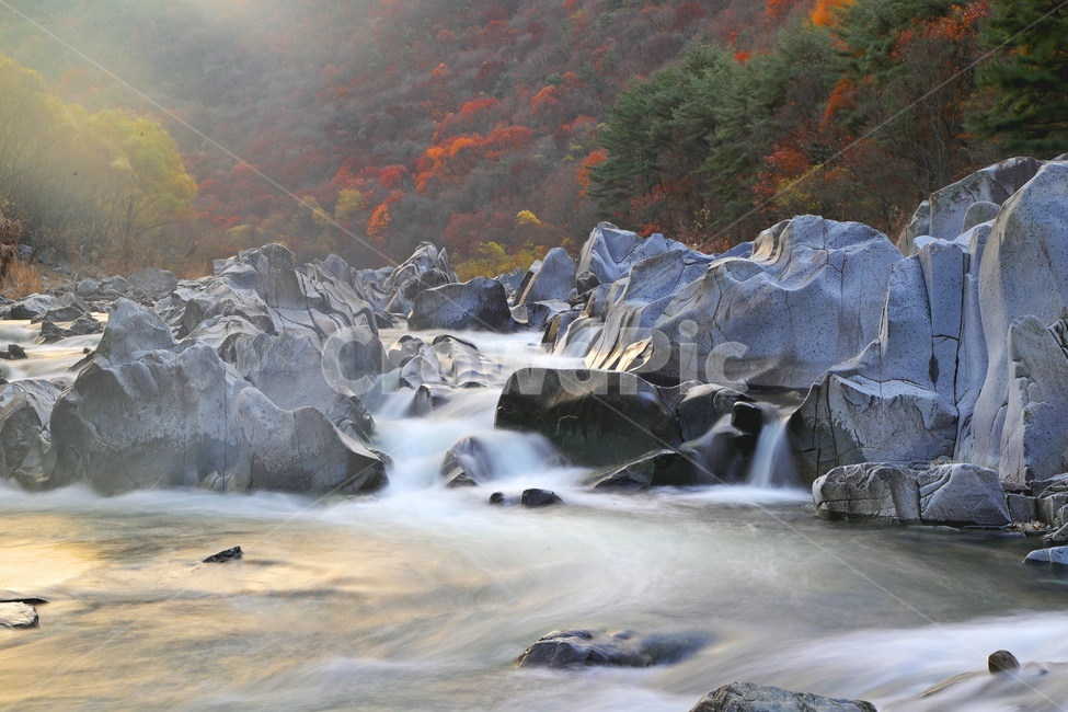 청송,백석탄,계곡,백석탄계곡,만추,추색,가을,물살,물결,흐름,water,물,nature,outdoors,옥외,자연,풍경,nature,landscape