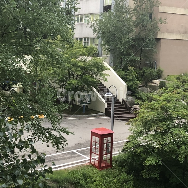 공중전화,공중전화기,빨강,빨간부스,전화부스,숲속,여름,휴식,휴가,방학,차분,조용,고요,아침,상쾌,푸릇푸릇,파란,초록,푸른,나무,통화