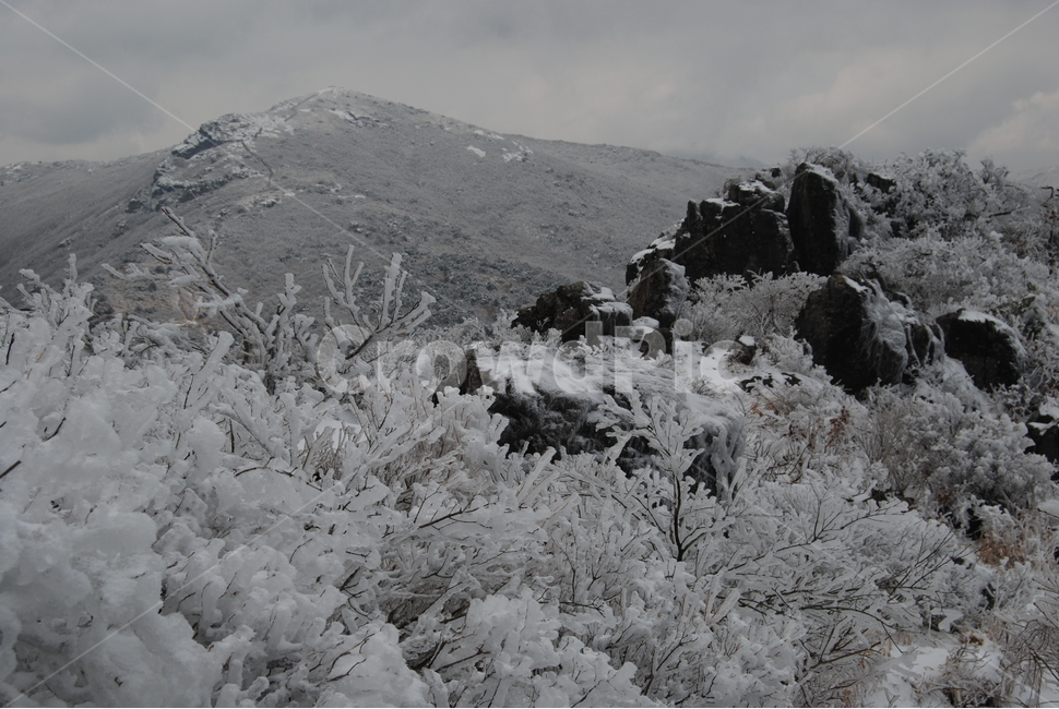 재약산,공원,설경,자연,탐방로,겨울,계절,winter,season,자연,풍경,nature,landscape,한국자연풍경,한국자연경관,korea nature landscape,outdoors,옥외,ice,빙,snow,눈