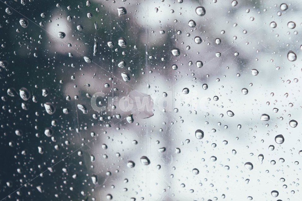 회색,슬픔,비,비오는날,빗방울,gray,sadness,rainyday,rain,날씨,weather,자연,nature,여름,감성,감성,sensible,feeling,비,비오는날,rain,rainy