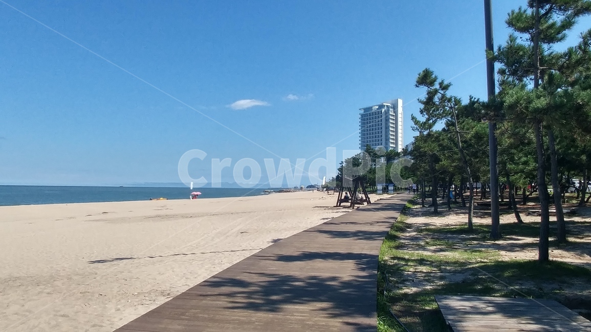 강릉,바다,해변,산책,산책길,숲길,해변가,백사장,해변,바다,beach,sea