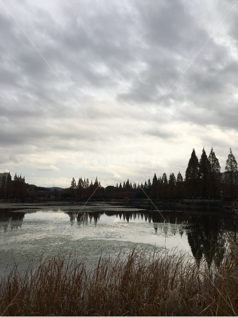 nature,자연,water,나라,land,호수,공원,연지공원,구름,하늘,scenery,풍경,Lake,산책,Walk,저수지,reservoir,산책로,나무,물