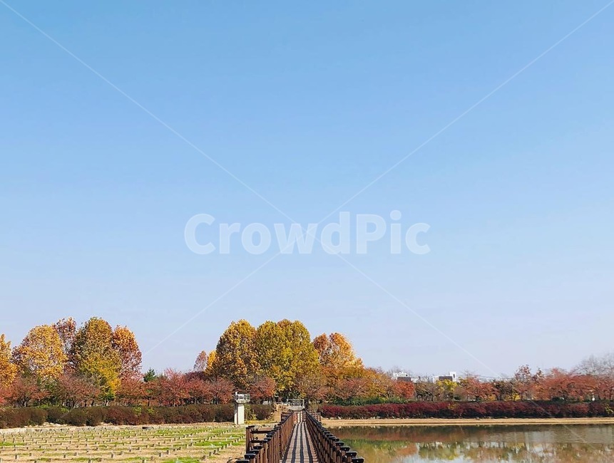 가을,호수,낙엽,하늘,공원,단풍,가을,계절,fall,autumn,season,자연,풍경,nature,landscape,building,건물
