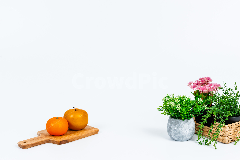 꽃,주방용품,인테리어,장식,소품,실내,화초,식물,꽃병,화분,바구니,손잡이,녹색,회색,배경,공간,카피스페이스,깨끗한,꽃잎,잎사귀,과일,오렌지,귤,배,비타민,노란색,다이어트,건강,달콤한,과즙,신선한,도마,분홍색,흰색,넝쿨,나무,목재,식물,자연,plants,nature,꽃,flower,실내용화초,화분,화초,house plant,과일,열매,fruit,연출,컨셉,콘셉,direction,concept