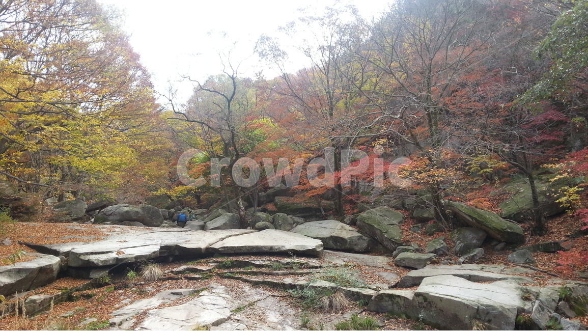 북한사,북한산성,산성계곡,단풍,가을,산영루,가을,계절,fall,autumn,season,자연,풍경,nature,landscape,한국자연풍경,한국자연경관,korea nature landscape,plant,식물,tree,나무