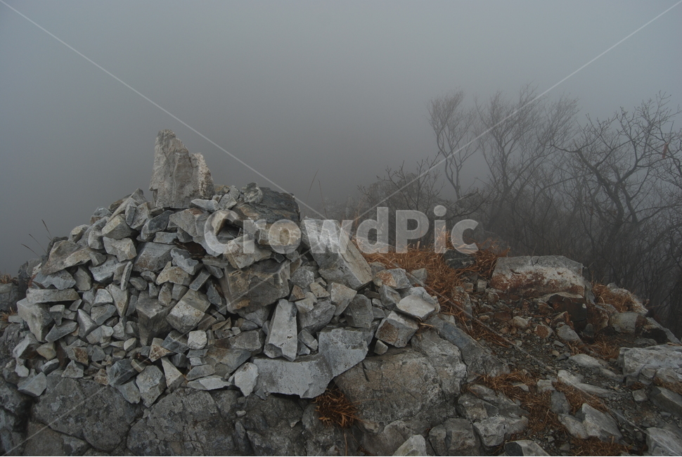 돌,stone,tree,안개,fog,자연,풍경,nature,landscape,rubble,파편