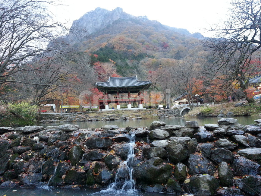 백양사,단풍,연못,가을,가을비,한국,KOREA,Koreafallfoliage,roofingtile,가을,계절,fall,autumn,season,자연,풍경,nature,landscape,한국자연풍경,한국자연경관,korea nature landscape,한국전통,한국문화,korean traditional,korean culture,building,건물,architecture,건축물,temple,신전,rubble,파편,shrine,신사,worship,예배