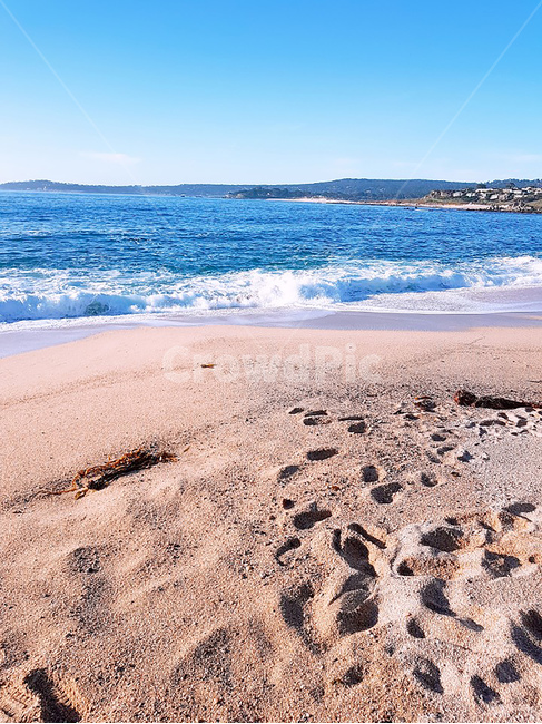 해변,발자국,파도,모래,자연,beach,footprint,wave,sand,자연,풍경,nature,landscape