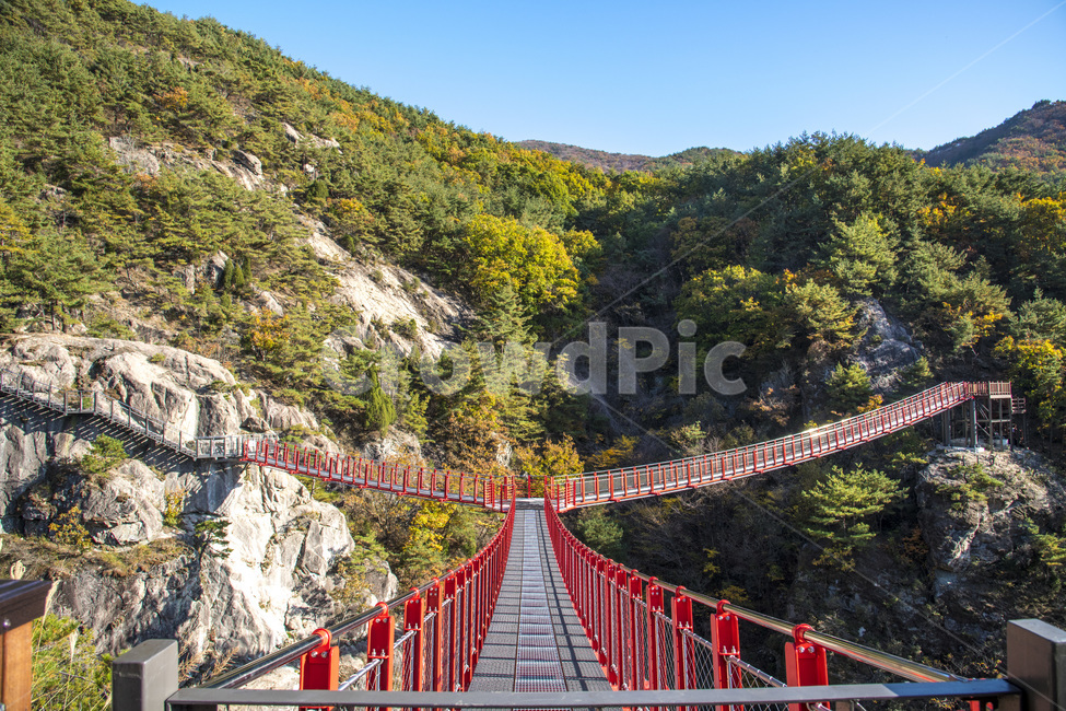 출렁다리,삼각형출렁다리,가을,계곡,산,거창,우두산,우두산출렁다리,현수교,구름다리,로프브릿지,다리