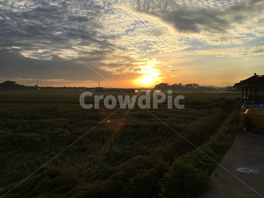 light,빛,flare,플레어,outdoors,햇빛,sunlight,자연,nature,옥외