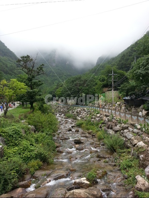 휴양지,산,강,물,강원도