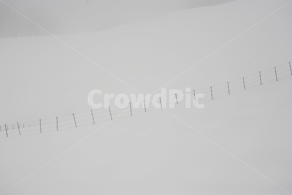 겨울,눈,눈보라,눈쌓임,대관령,눈길,길,load,고난,역경