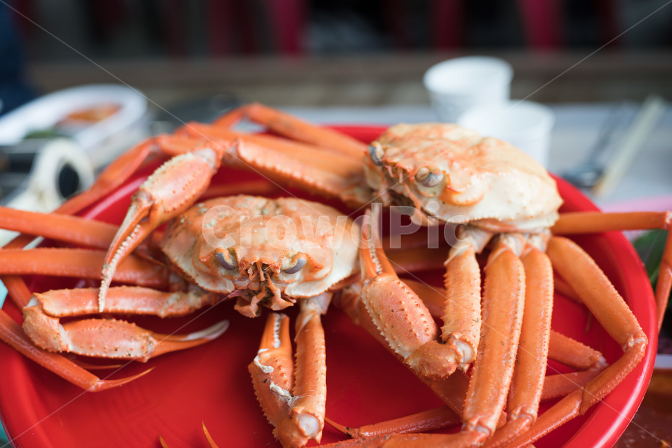 대게,게,영덕대게,갑각류,음식,대게찜,크랩,식재료,lobster,랍스터,seafood,해물,해양생물,food,음식,식재료,요리,food,cook,meal,dishes,food reserves,수산물,해산물,fishery products,seafood
