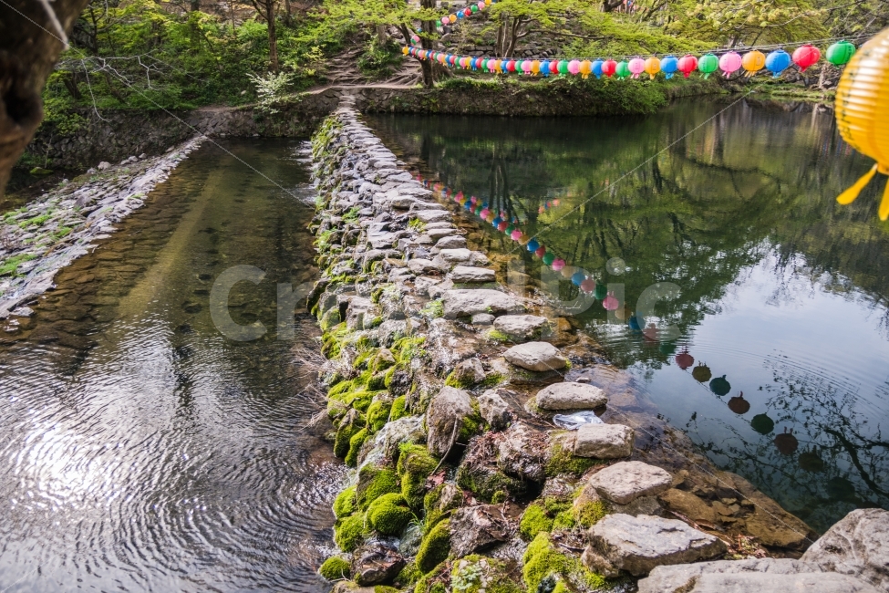 풍경,산,봄,계곡,사찰,절,자연,풍경,nature,landscape,종교,신앙,religion,belief,faith,water,물,outdoors,옥외