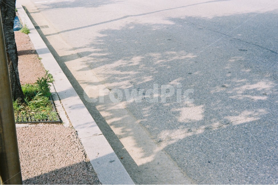 그림자,빛,나무,풍경,도로,여름,summer,shadow,light,sunlight,햇빛,필름,film