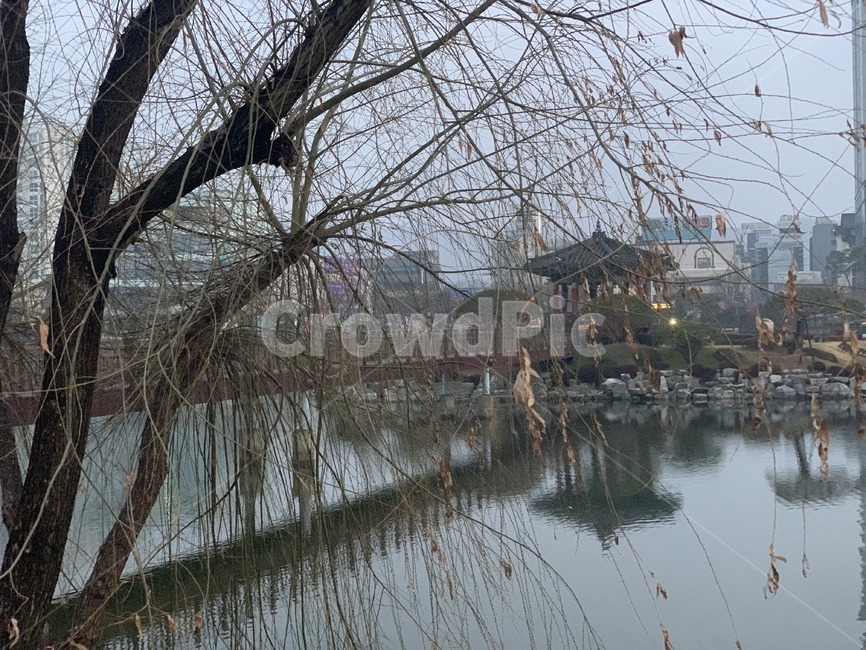 architecture,건축물,building,건물,castle,성,새벽