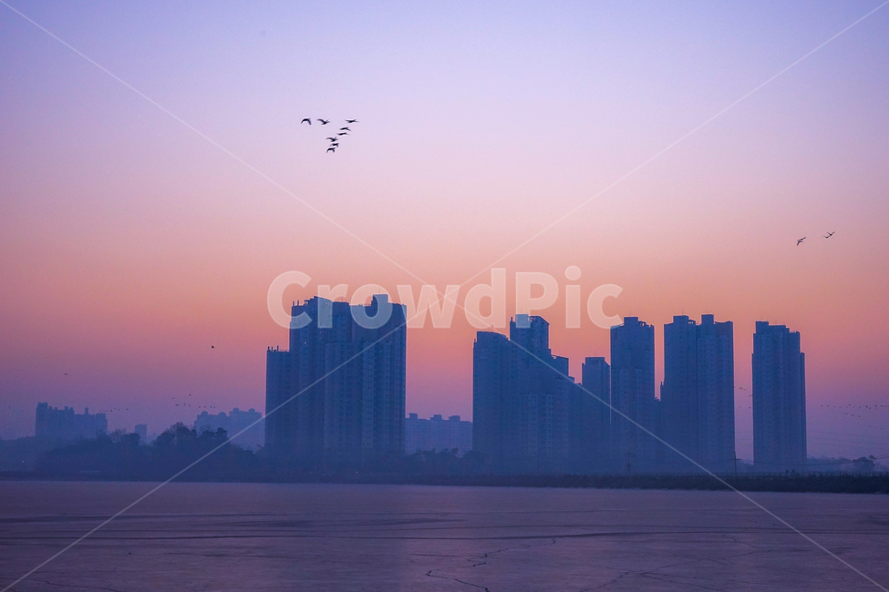 겨울,계절,호수,얼음판,얼음,건물,여명,풍경,도시,풍경,city,landscape,실루엣,그림자,silhouette,shadow,nature,자연,outdoors,옥외,sky,하늘,red sky,붉은 하늘,dusk,황혼,dawn,새벽,sunset,일몰,bird,새,animal,동물