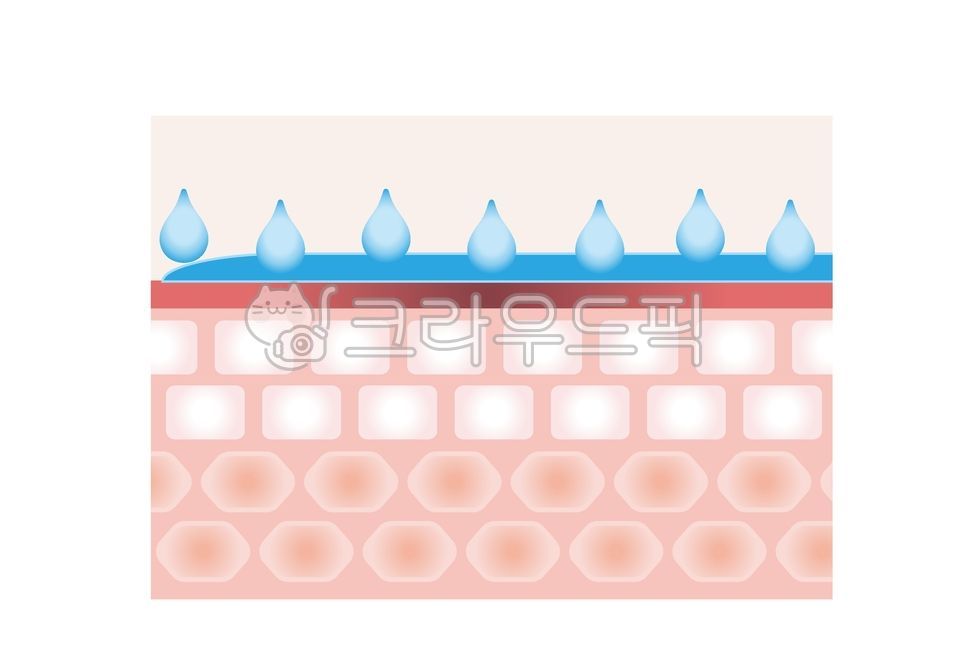 skin structure cross section,beauty,section,make up,cosmetic,illust,epidermis,group,skin care,hand drawing,Medical treatment,ai,Skin tissue,Anatomy,Care,dermis layer,skin layer cross section,skin cross section drawing,skin cross section,care,Skin cross se
