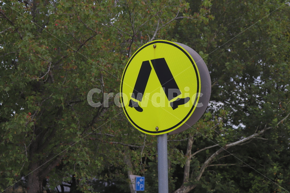 표지판,횡단보도,보행도로,표시,노란색,산책,동그라미,canon200d,vsco,sign,crosswalk,yellow,circle