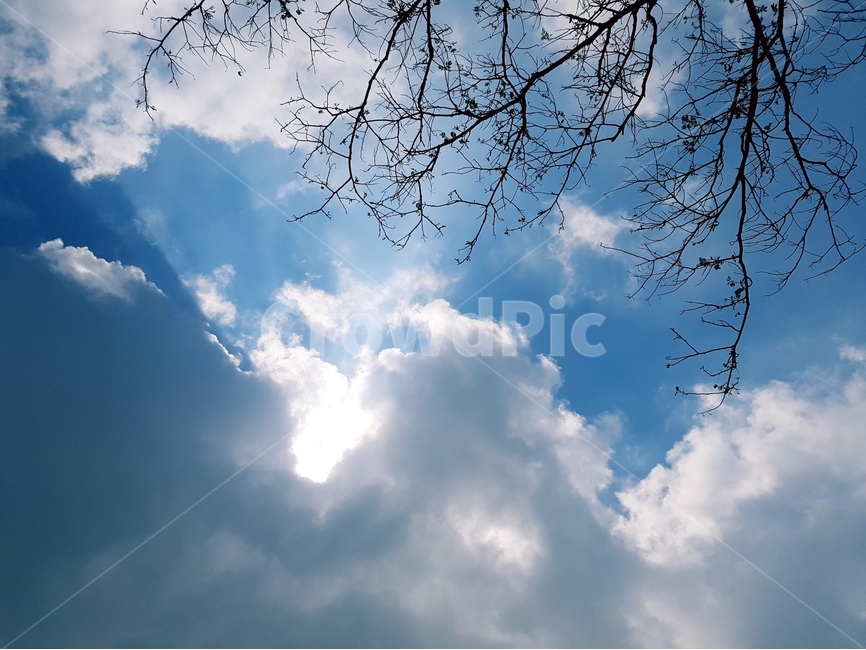 하늘,흰구름,풍경,맑음,해,자연,풍경,nature,landscape,outdoors,옥외,azure sky,푸른 하늘,sky