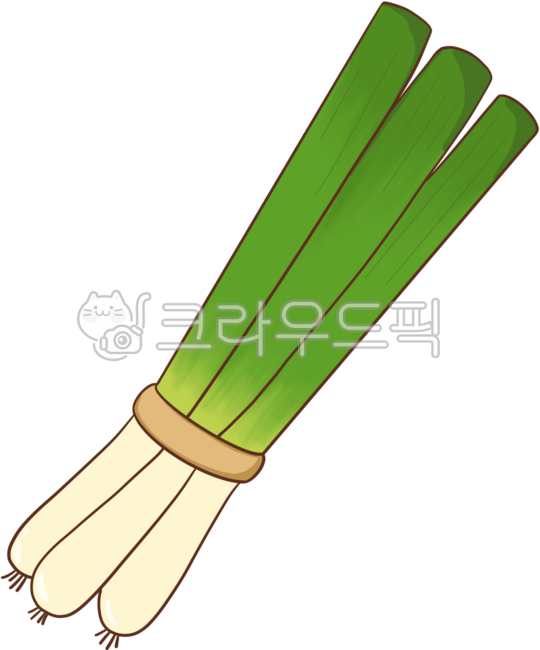 파, 대파, 요리, 요리재료, 식재료, 사진,이미지,일러스트,캘리그라피 - agigooreum작가