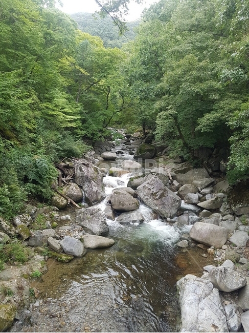 자연,water,nature,흐름,강,자연,풍경,nature,landscape,물,outdoors,옥외,stream,creek,작은 만