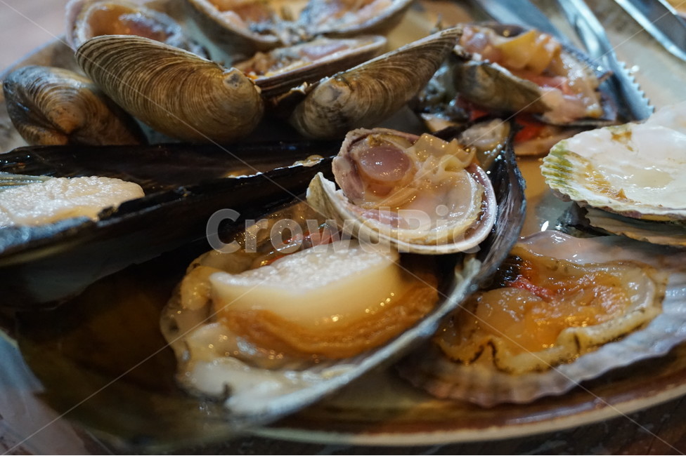 조개구이,조개,키조개,완자,음식,식재료,요리,신선하다,해산물,모듬조개,수산물,씨푸드,해물,food,cook,외식,회식,어패류,식사,가리비,숯불,불,seafood,해물모듬,구이,모듬해물,술안주,그릴,캠핑,싱싱,음식,식재료,요리,food,cook,meal,dishes,food reserves,수산물,해산물,fishery products,seafood