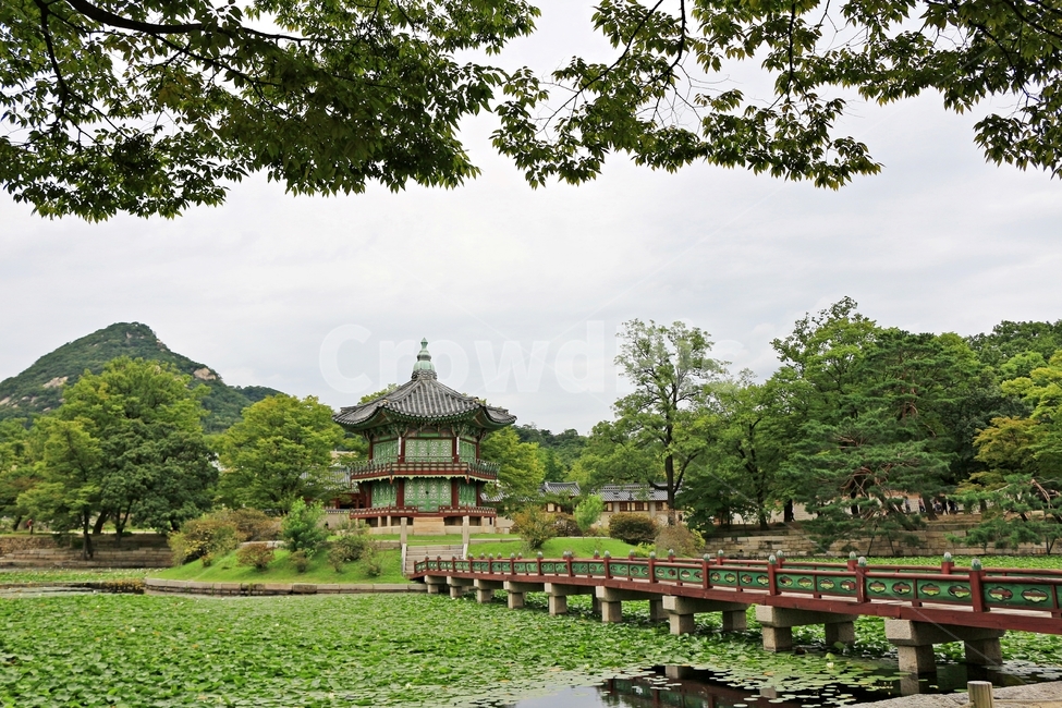 경복궁,향원정,건축물,고궁,한국의미,전통,유산,지붕,기와,건축양식,조선,나무,traditional,풍경,색감,서울,광화문,랜드마크,landmark,landscape,palace,다리,8월고궁,여름,계절,summer,season,한국전통,한국문화,korean traditional,korean culture,랜드마크,landmark,tourist attraction,한국랜드마크,한국관광지,한국명소,korea landmark,korea tourist attraction,architecture,building,건물,outdoors,옥외