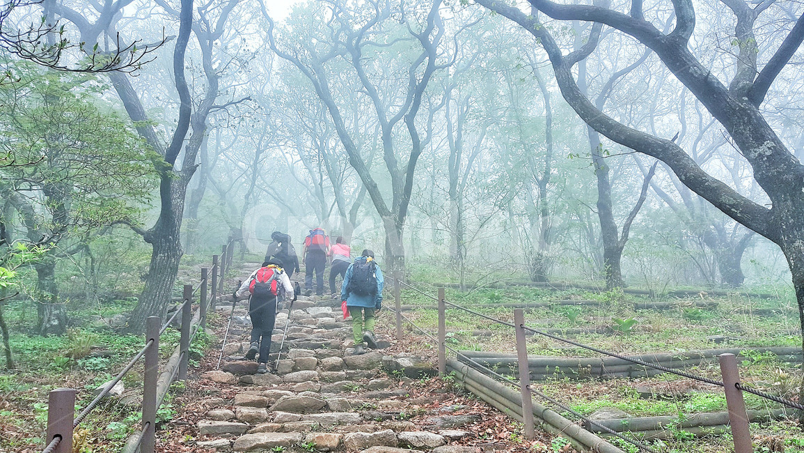 산행,운무,구름,등산,안개,자연,경치,길,풍경,봄,한국자연풍경,새벽,초록,동행,산,울타리,힐링,landscape,nature,sports,레져,스포츠,운동,계단,나무,숲,돌계단