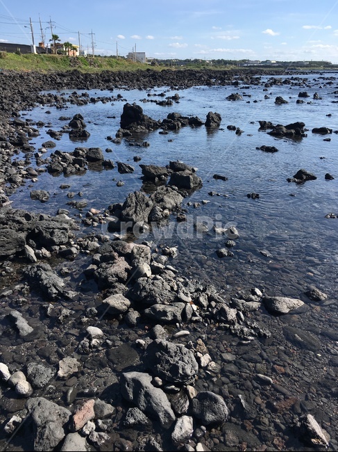 제주도,제주도바다,바다,현무암,자연풍경