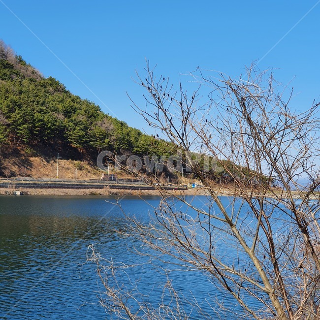 nature,자연,water,물,outdoors,옥외,호수