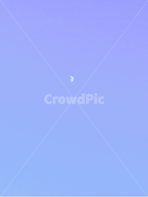 달,밤,낮,sky,moon,night,풍경,자연,풍경,nature,landscape,animal,동물,bird,새,flying,나는,adventure,모험,leisure activities,레저 활동