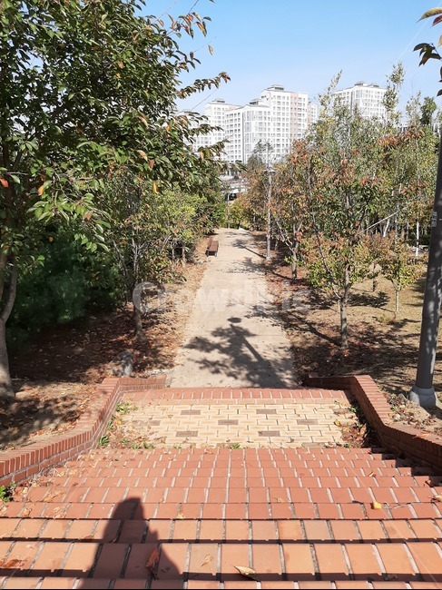 벽돌,계단,산책길,산책,자연,나무