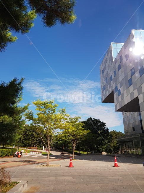 호서대,중앙도서관,하늘,학교,자연