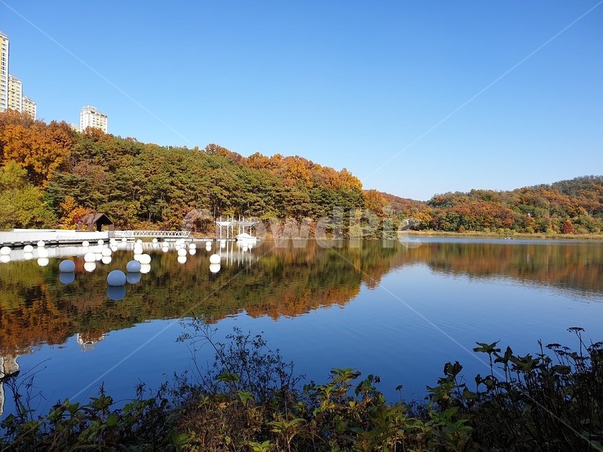 공원,호수공원,물거울,광교호수공원,푸른하늘