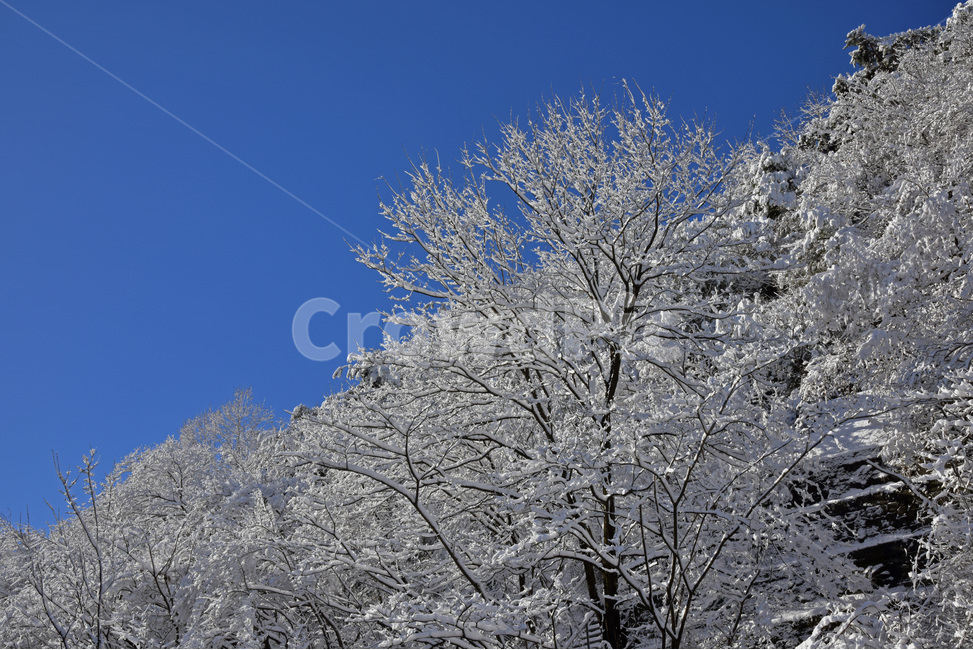 설경,snowylandscape,눈,첫눈,눈꽃,겨울풍경,snow,겨울,계절,winter,season,자연,풍경,nature,landscape,outdoors,옥외