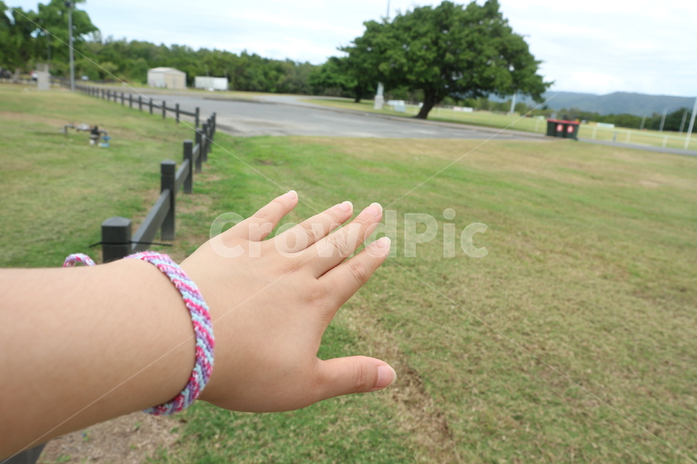 손,자연,나무,공원,들판,풀,초록색,hand,tree,nature,field,park