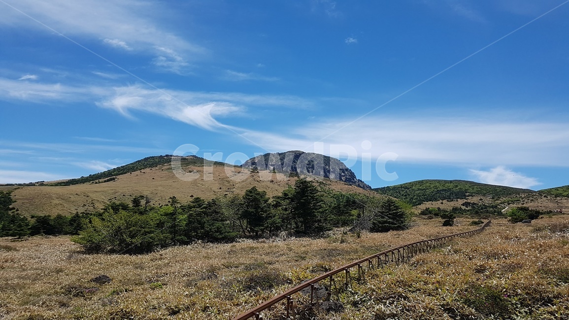 제주도,한라산,어리목코스,남벽,윗세오름,구상나무