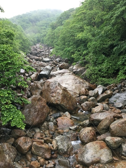 지리산,계곡,등산,풍경,6월