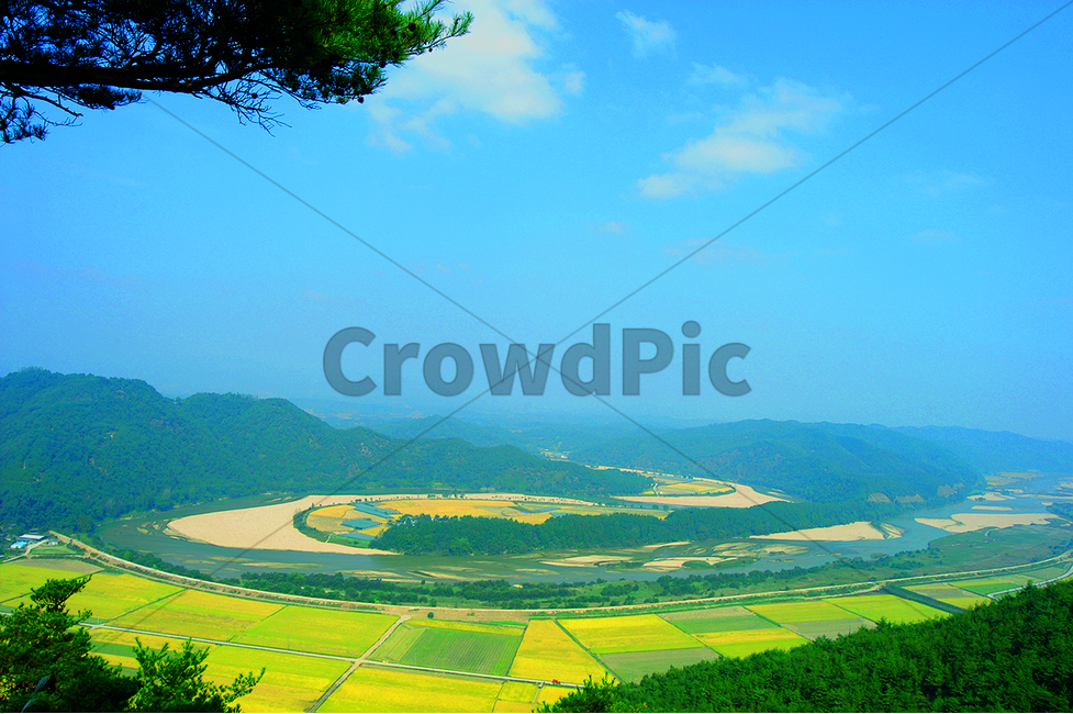 회룡포,물돌이,가을,황금들판,벼,예천,자연,풍경,nature,landscape,한국자연풍경,한국자연경관,korea nature landscape,scenery,outdoors,옥외,경치