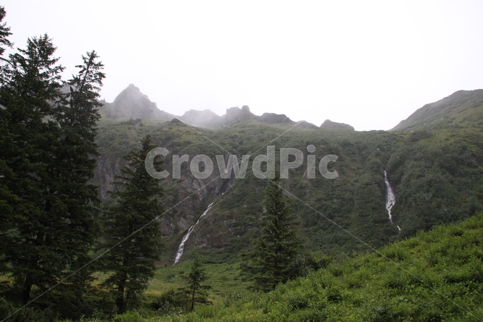 인터라켄,융프라우산,융프라우,폭포,스위스,interlaken,jungfraumt,jungfrau,waterfall,swiss,switzerland,자연,풍경,nature,landscape,해외,외국,세계,foreign,oversea,world,세계자연풍경,해외자연풍경,외국자연풍경,world nature landscape,tree,나무,plant,식물,abies,아비,fir,전나무